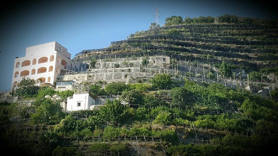 12030819_10205492086077712_813282921_n