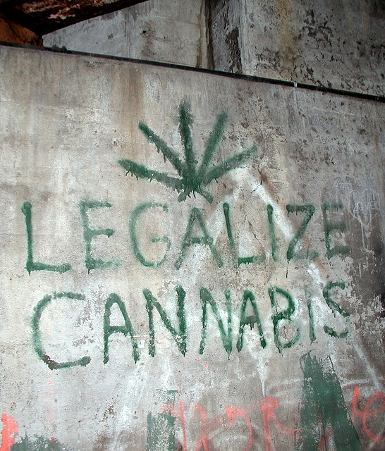 Favorevole alla legalizzazione “condizionata” delle droghe leggere