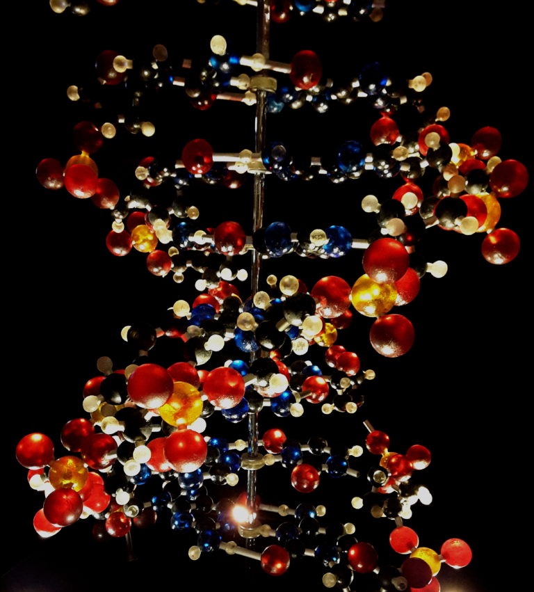 Il grande libro della vita da Mendel a Genomica. Roma, Palaexpo