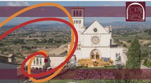 Il cortile di San Francesco: tecnica, umanità e lo spirito di Assisi