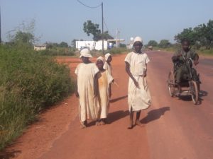 Ritorno a casa loro – Dal Senegal in Gambia (giorno 4)