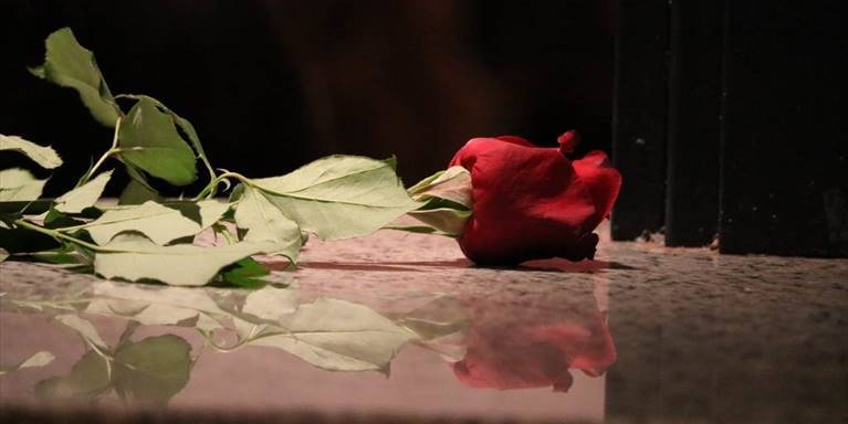 25 novembre a Rovigo. Con una rosa rossa