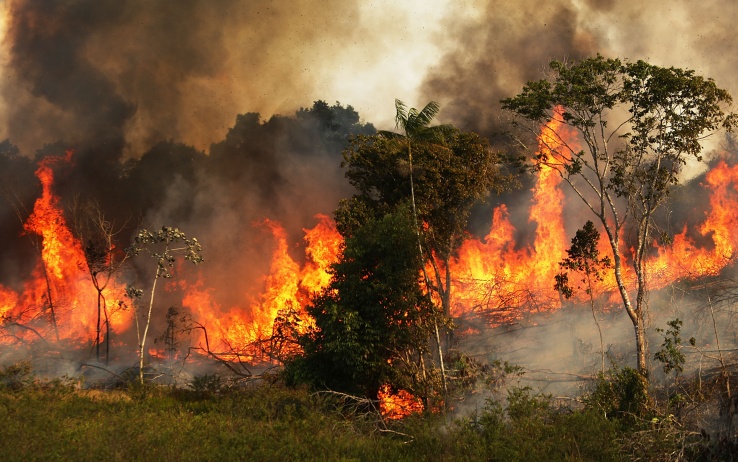 Le fiamme dell’Amazzonia sono le fiamme dell’umanità