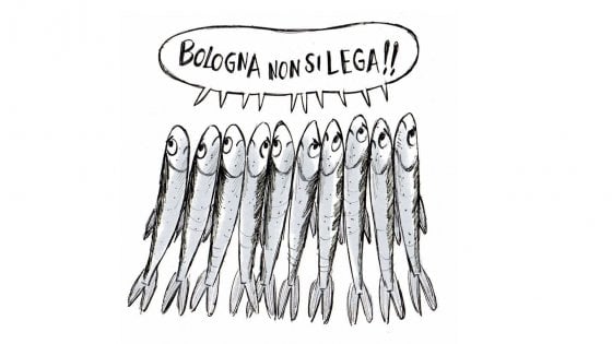 Emilia Romagna. Il pesce azzurro ha divorato lo squalo
