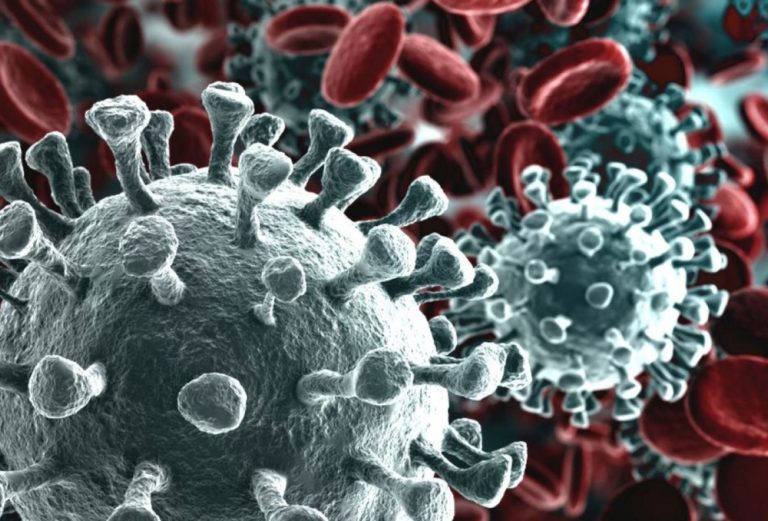 Coronavirus, nuovi appelli alle istituzioni da EveryOne Group