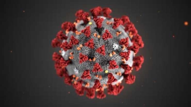 Virus debole, virus forte