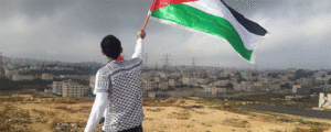 “Insieme per la giustizia e il rispetto dei diritti umani in Palestina”