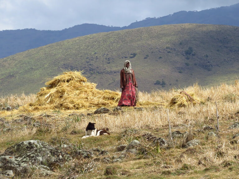 Etiopia, effetto domino