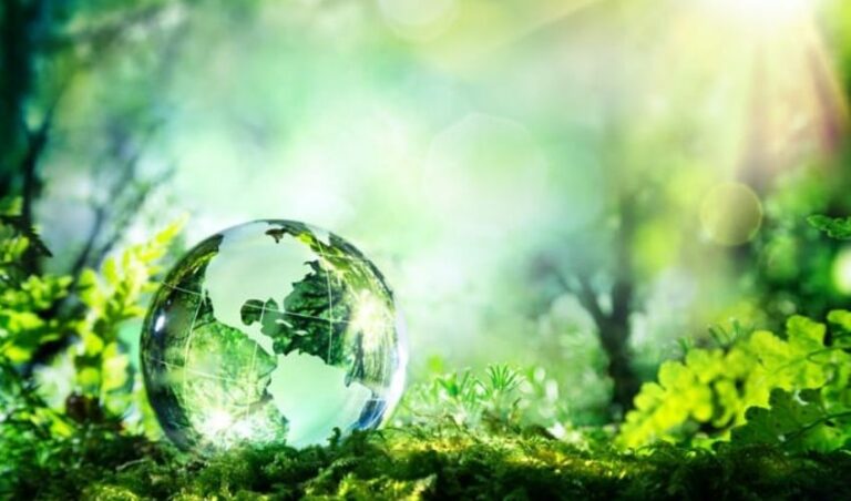 Earth Day: l’associazione “Costituente Terra” e la lezione della pandemia