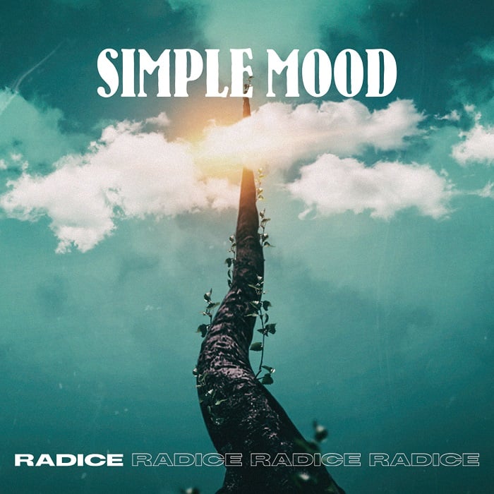 Musica: il tempo e le emozioni, il succo di ‘Radice’: il primo album dei Simple Mood