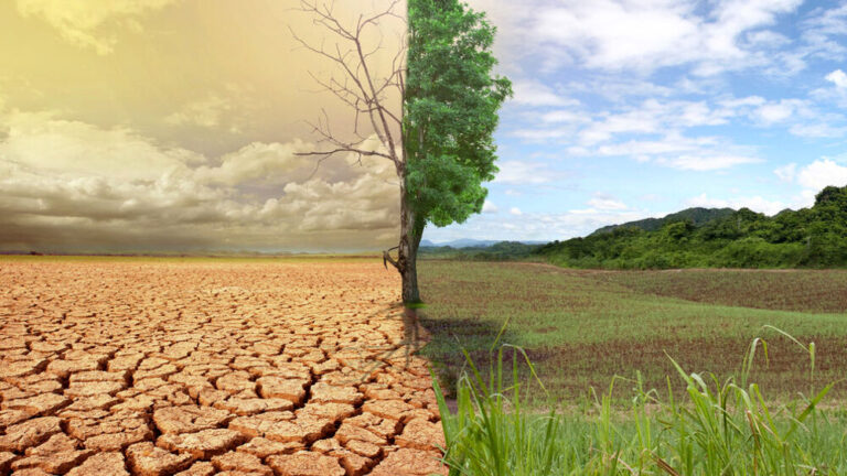 Giornata mondiale contro la desertificazione e siccità: ecco come le raccolte fondi possono favorire azioni concrete per “risollevarsi insieme”