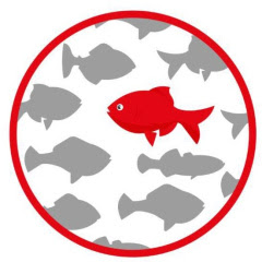 Controcorrente Lazio: “Solidarietà ai giornalisti della Dire in sciopero contro l’editore”