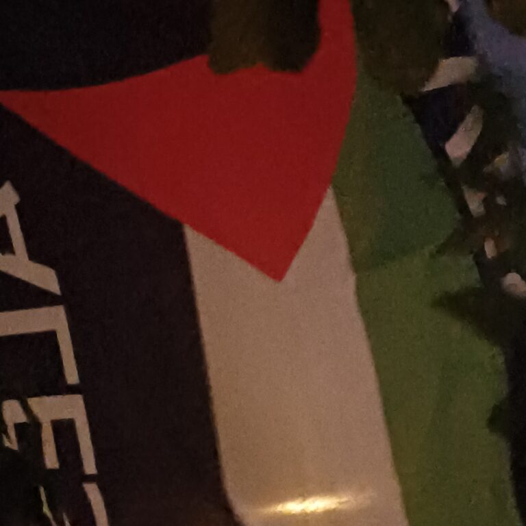 Neppure Scilla, …somos Flotilla 