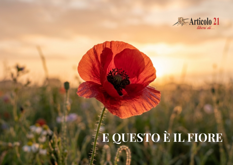 25 aprile. L’impossibile riappacificazione non contemplata dalla Costituzione