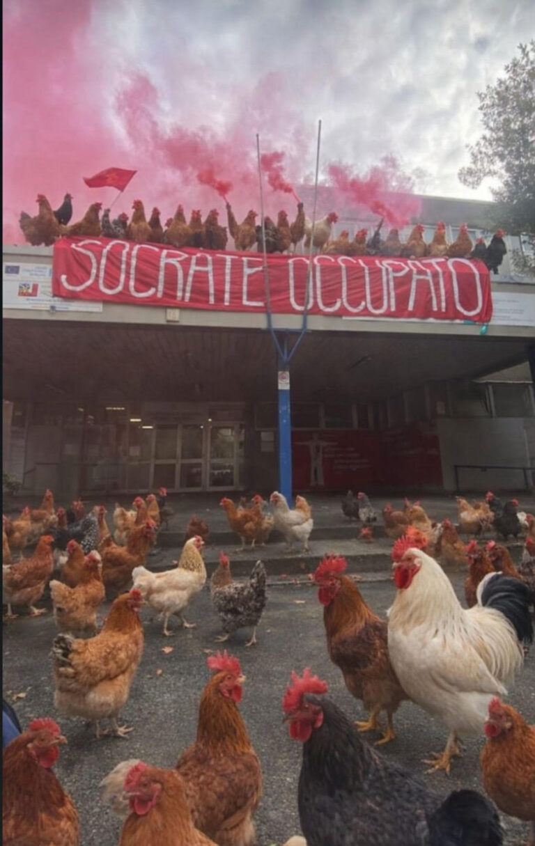 La fattoria degli animali: cronaca di una rivoluzione mancata al liceo Socrate