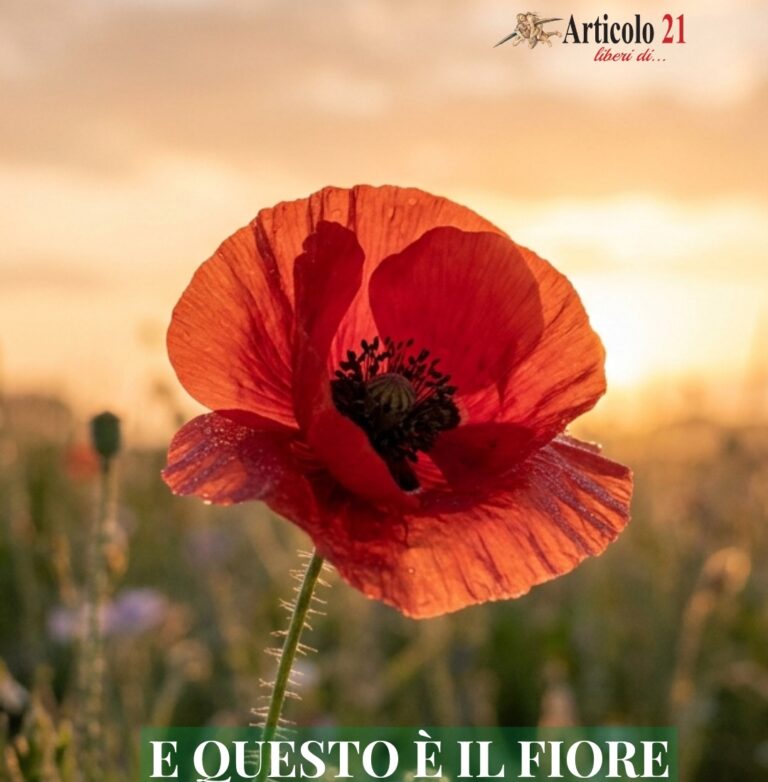 25 aprile. L’impossibile riappacificazione non contemplata dalla Costituzione