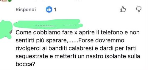 “Forse dovremmo rivolgerci ai banditi calabresi e farti sequestrare…”. A Cassino minacce alla giornalista Paola Polidoro