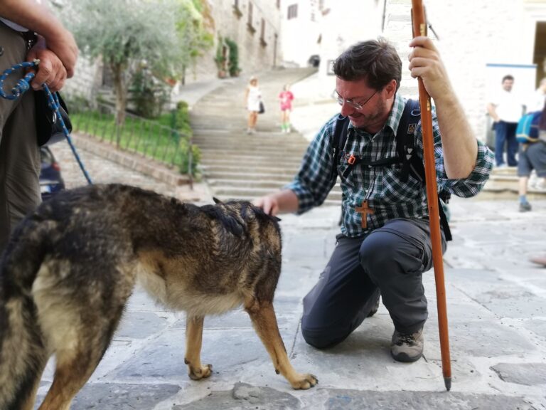 Gubbio, il vescovo Paolucci Bedini: «Le parole possono disarmare. Il lupo non si sconfigge, si incontra»